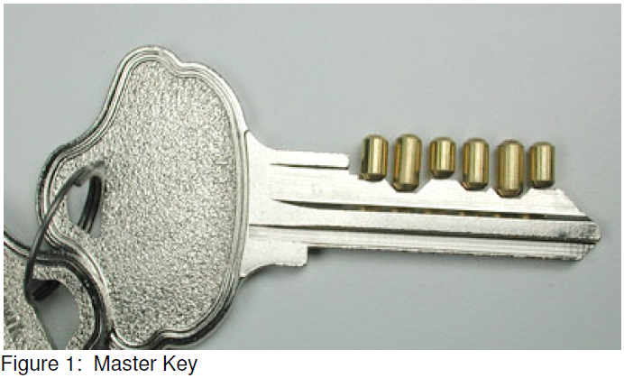 Is Your Project Using the Master Keys to Success?